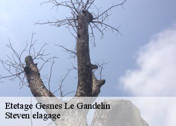 Etetage  gesnes-le-gandelin-72130 Steven elagage