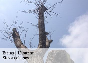 Etetage  lhomme-72340 Steven elagage