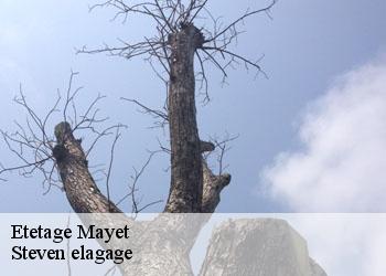 Etetage  mayet-72360 Steven elagage