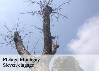 Etetage  montigny-72670 Steven elagage