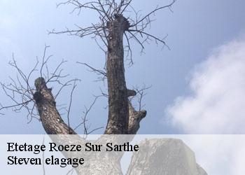 Etetage  roeze-sur-sarthe-72210 Steven elagage