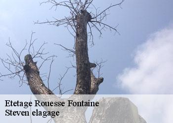 Etetage rouesse-fontaine-72610 Steven elagage