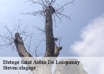 Etetage  saint-aubin-de-locquenay-72130 Steven elagage