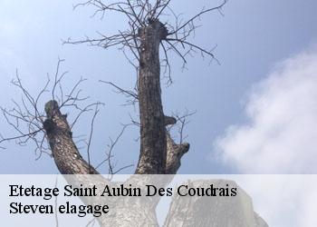 Etetage  saint-aubin-des-coudrais-72400 Steven elagage