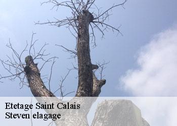 Etetage  saint-calais-72120 Steven elagage