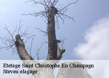 Etetage  saint-christophe-en-champagn-72540 Steven elagage