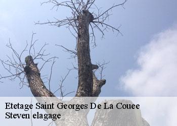 Etetage  saint-georges-de-la-couee-72150 Steven elagage