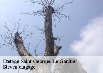 Etetage  saint-georges-le-gaultier-72590 Steven elagage