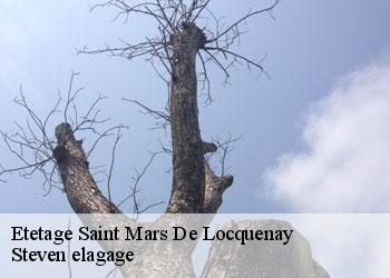 Etetage  saint-mars-de-locquenay-72440 Steven elagage