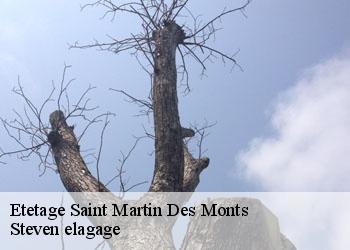 Etetage  saint-martin-des-monts-72400 Steven elagage