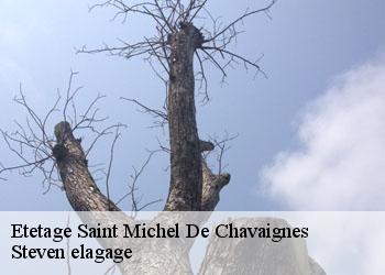 Etetage  saint-michel-de-chavaignes-72440 Steven elagage