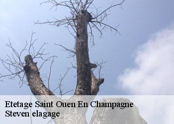 Etetage  saint-ouen-en-champagne-72350 Steven elagage