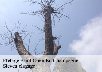 Etetage saint-ouen-en-champagne-72350 Steven elagage