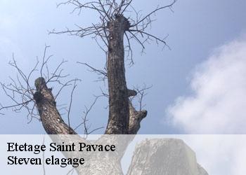 Etetage  saint-pavace-72190 Steven elagage