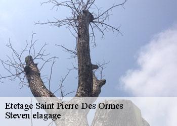 Etetage  saint-pierre-des-ormes-72600 Steven elagage