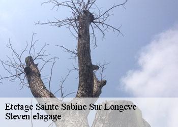 Etetage  sainte-sabine-sur-longeve-72380 Steven elagage