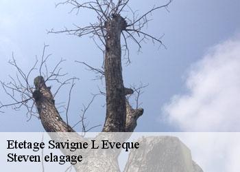 Etetage  savigne-l-eveque-72460 Steven elagage