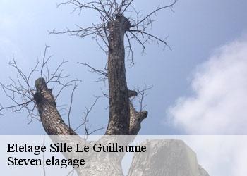 Etetage  sille-le-guillaume-72140 Steven elagage