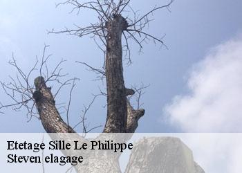 Etetage  sille-le-philippe-72460 Steven elagage