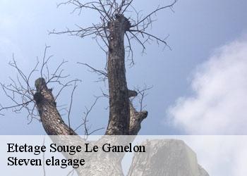 Etetage  souge-le-ganelon-72130 Steven elagage