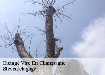 Etetage  vire-en-champagne-72350 Steven elagage