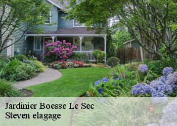 Jardinier  boesse-le-sec-72400 Steven elagage