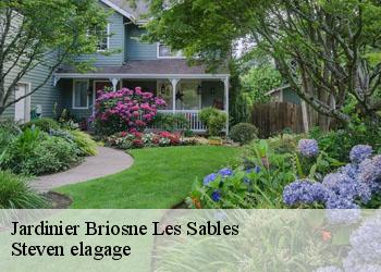 Jardinier  briosne-les-sables-72110 Steven elagage