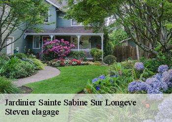 Jardinier  sainte-sabine-sur-longeve-72380 Steven elagage
