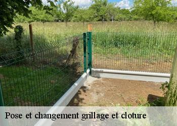 Pose et changement grillage et cloture