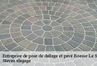 Entreprise de pose de dallage et pavé  boesse-le-sec-72400 Steven elagage