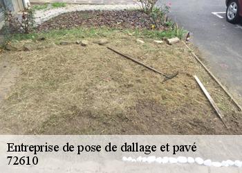 Entreprise de pose de dallage et pavé 72610