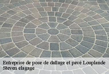 Entreprise de pose de dallage et pavé  louplande-72210 Steven elagage