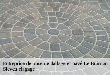 Entreprise de pose de dallage et pavé le-buisson-72610 Steven elagage