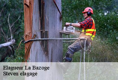Elagueur  la-bazoge-72650 Steven elagage
