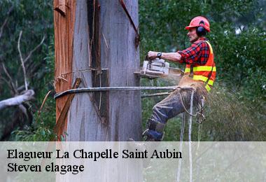 Elagueur  la-chapelle-saint-aubin-72650 Steven elagage