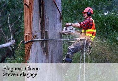 Elagueur chenu-72500 Steven elagage