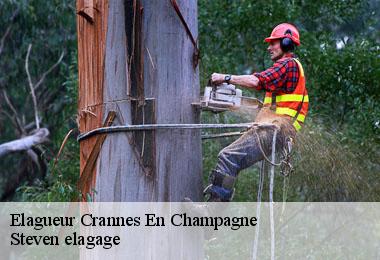 Elagueur  crannes-en-champagne-72540 Steven elagage