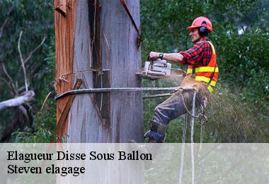 Elagueur  disse-sous-ballon-72260 Steven elagage