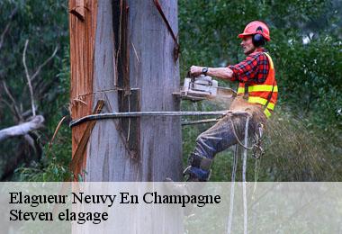 Elagueur  neuvy-en-champagne-72240 Steven elagage