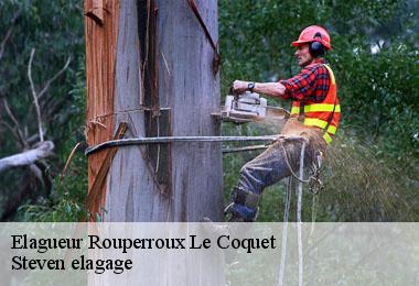 Elagueur  rouperroux-le-coquet-72110 Steven elagage