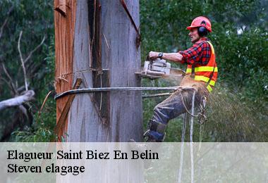 Elagueur  saint-biez-en-belin-72220 Steven elagage