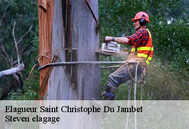 Elagueur  saint-christophe-du-jambet-72170 Steven elagage