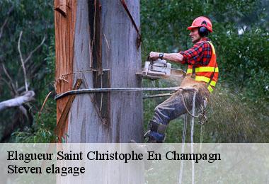 Elagueur  saint-christophe-en-champagn-72540 Steven elagage